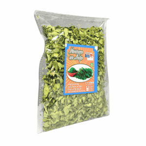 MORINGA 80GR ARTUSALUD