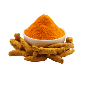 CURCUMA X 30GR ARTUSALUD