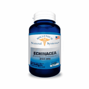 ECHINACEA 250 MG x 60 CAP SYSTEMS