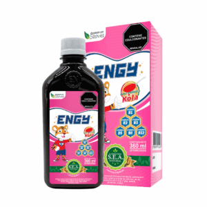 ENGY X 360ML SEA